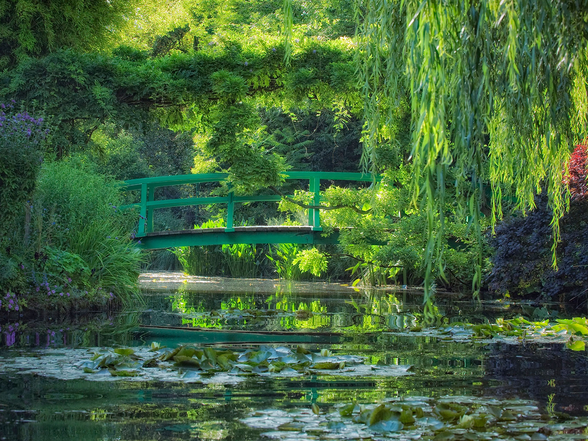 Natural Wonders: Monet's Garden, Giverny