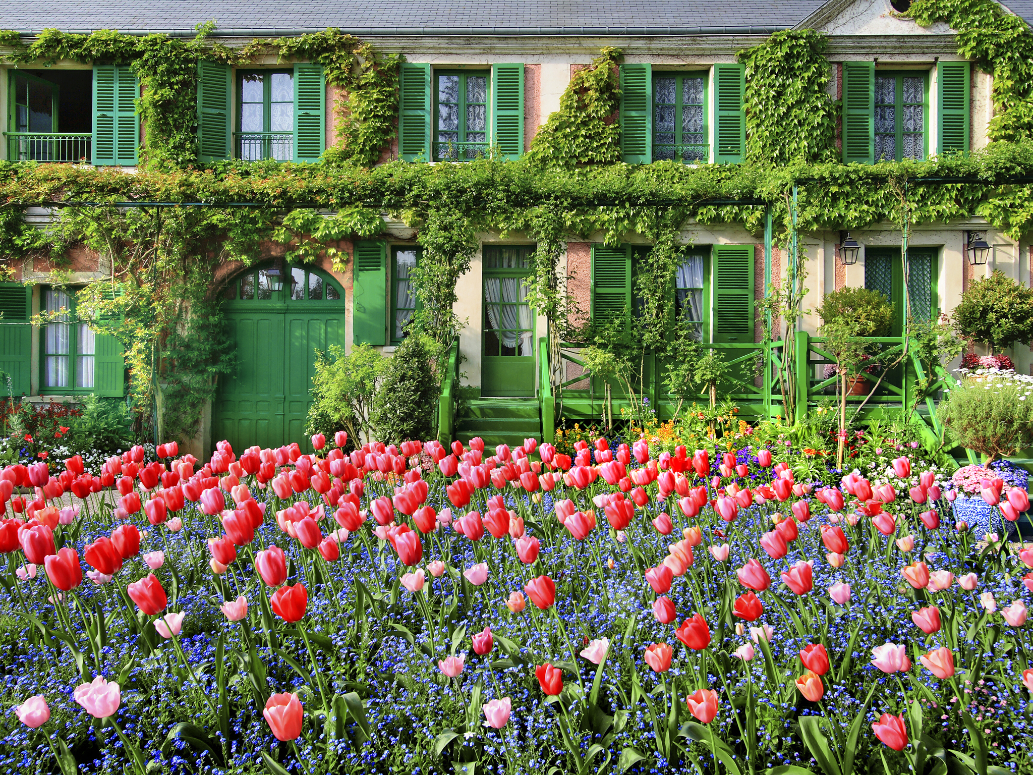 Cultural experiences in France: The Monet Foundation