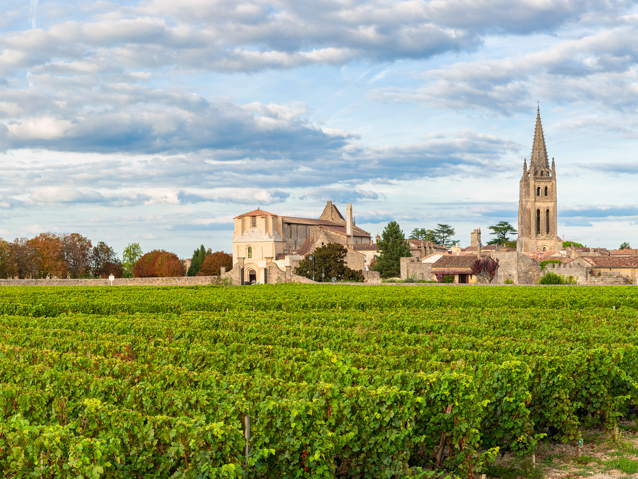 Cultural experiences in France: Vineyards of Bordeaux